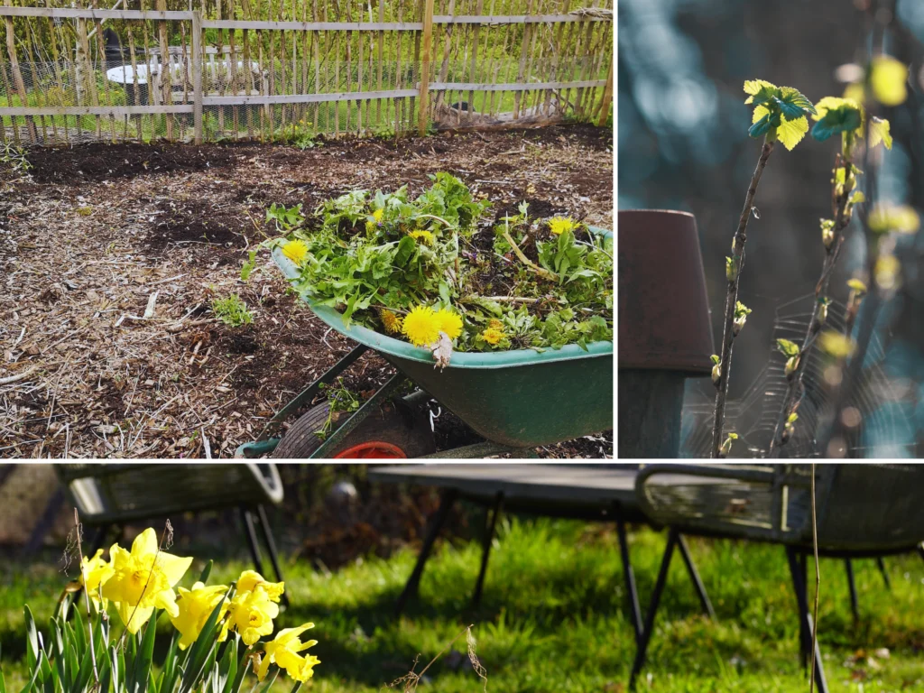 Gartenstimmung im Frühling: Eine grüne Schubkarre mit gejätetem Unkraut und Löwenzahn, frisches Grün an Zweigen im Sonnenlicht und blühende Narzissen vor Gartenstühlen – Zeit draußen statt am Herd verbringen.