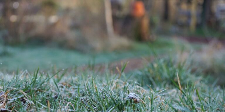 Hackauflauf mit Kartoffeldecke