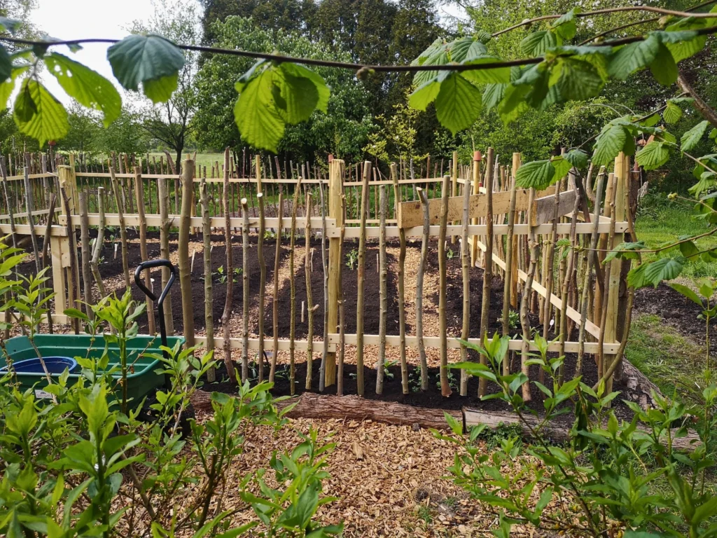 noch ziemlich leerer Bauerngarten balt voll mit Sommerblumen