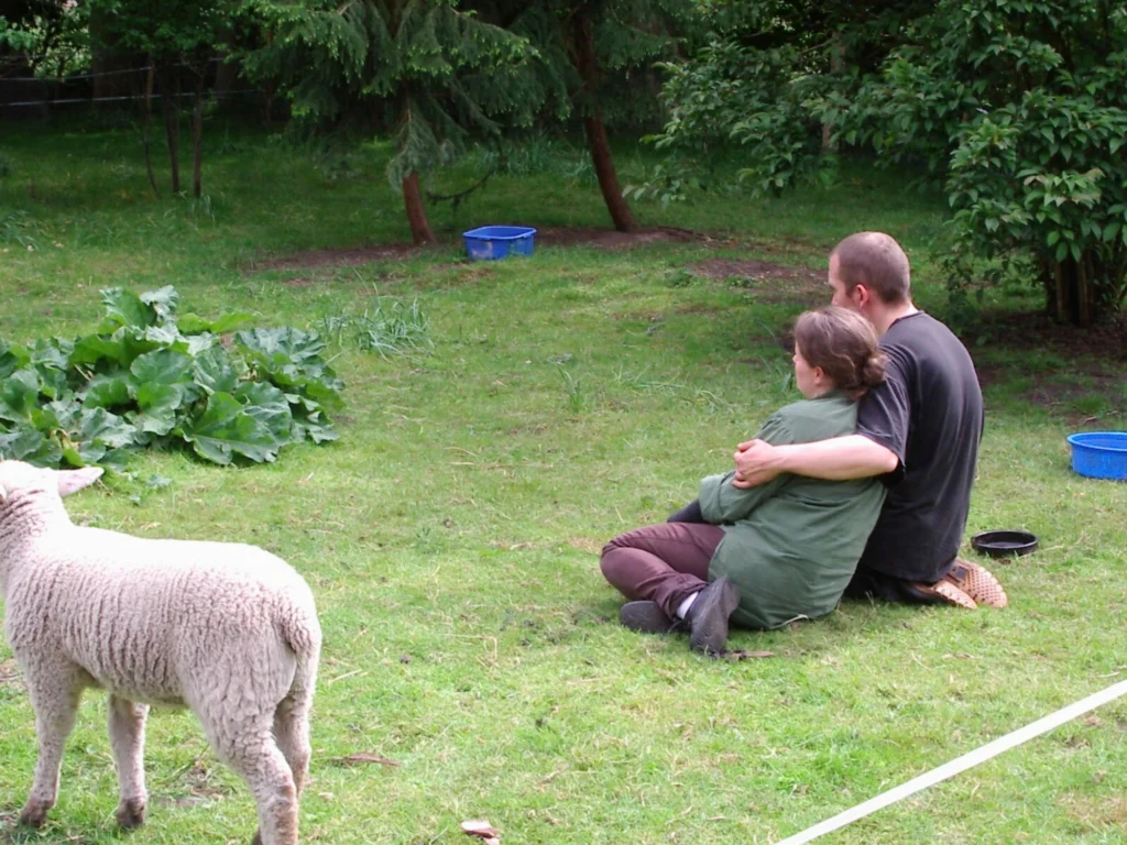Zwei Menschen sitzen eng umarmt auf einer Wiese, ein Schaf steht daneben
