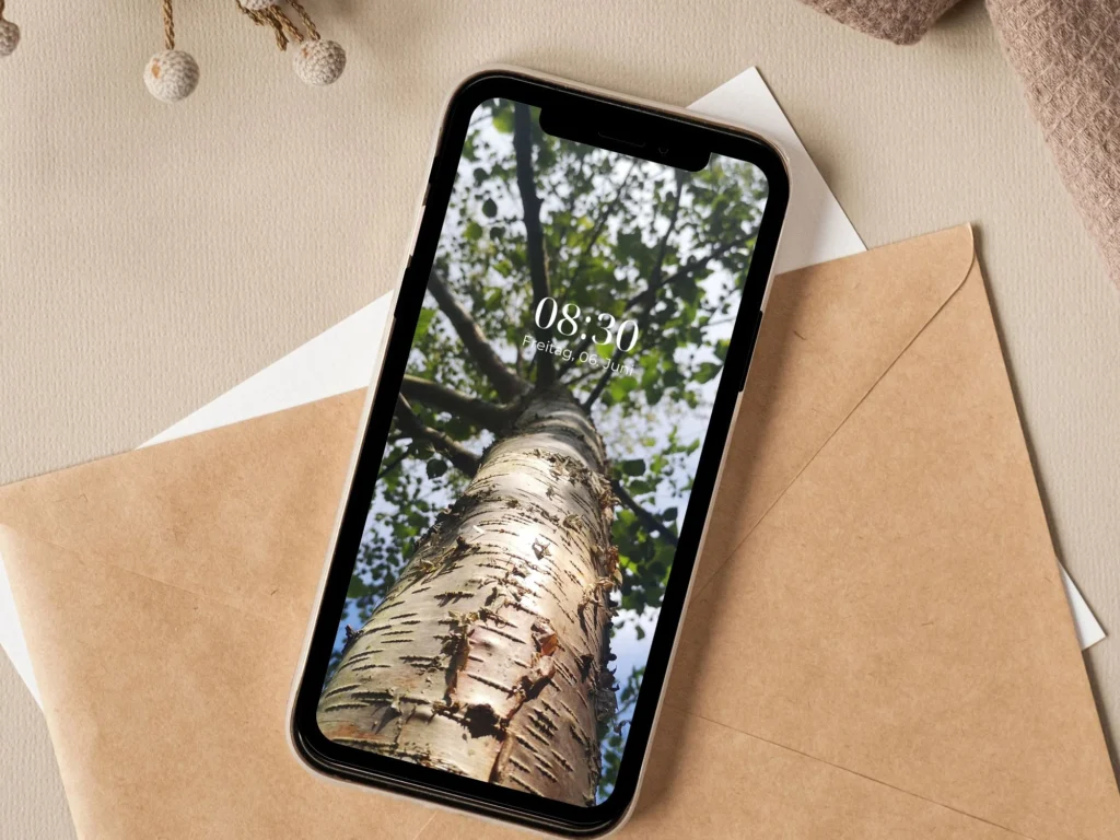 Sommer-Hintergrund auf dem Handy
