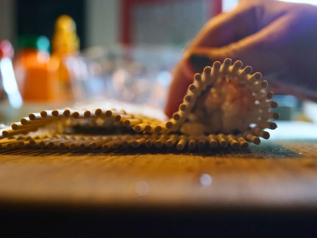 Anleitung zum Sushirollen mit Bambusmatte – Detailaufnahme
