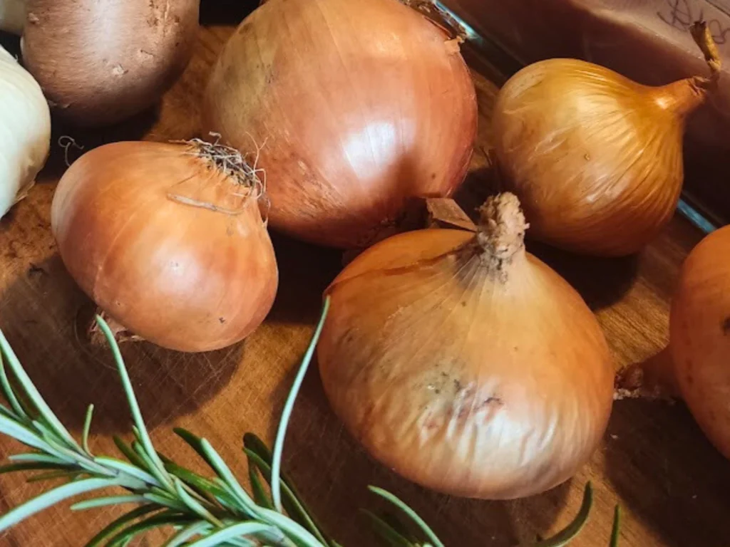 Zwiebeln für Zwiebelsaft auf dem Schneidebrett